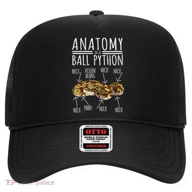 Python Snake Owner Anatomy Of A Ball Python Hat