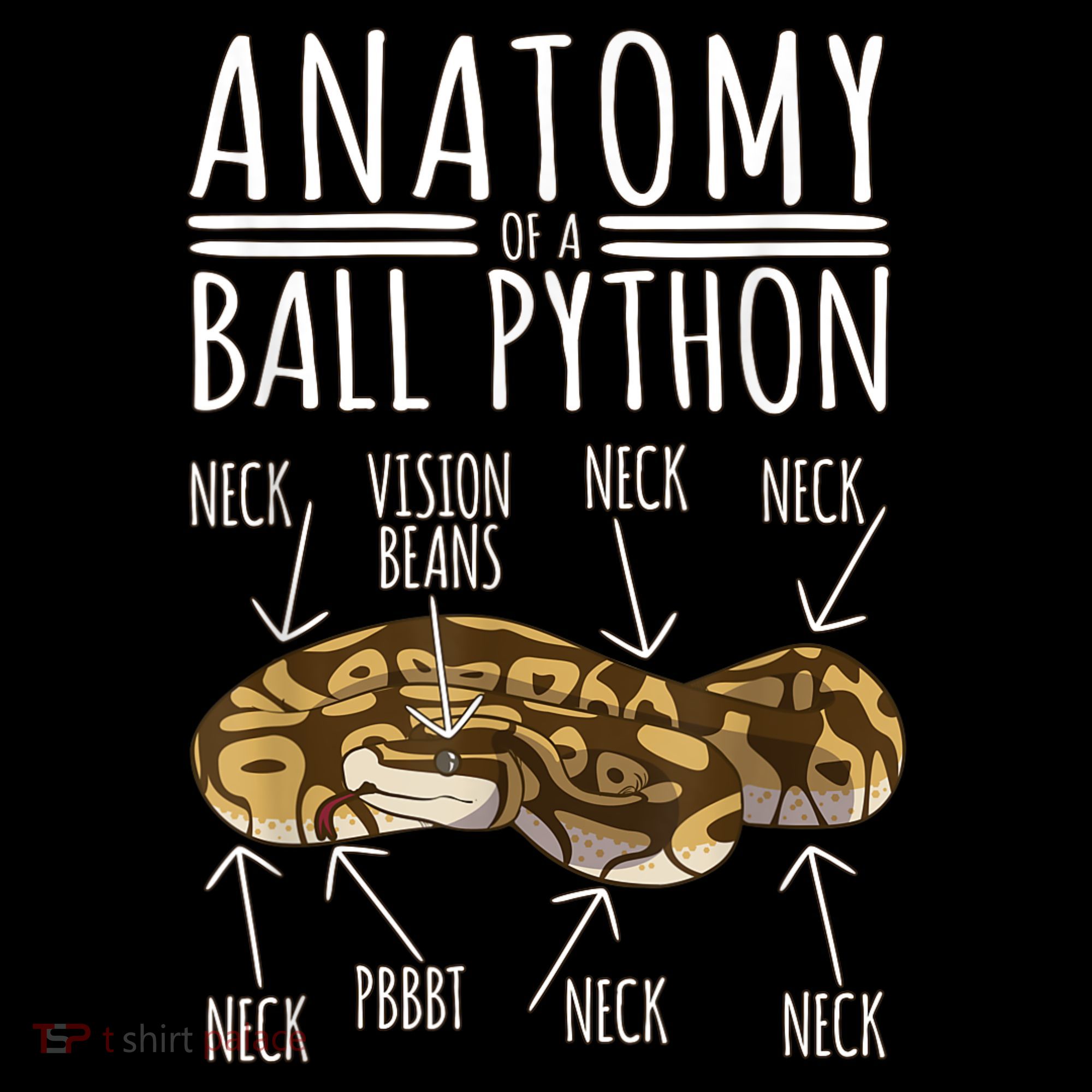 Python Snake Owner Anatomy Of A Ball Python Women's T-Shirt