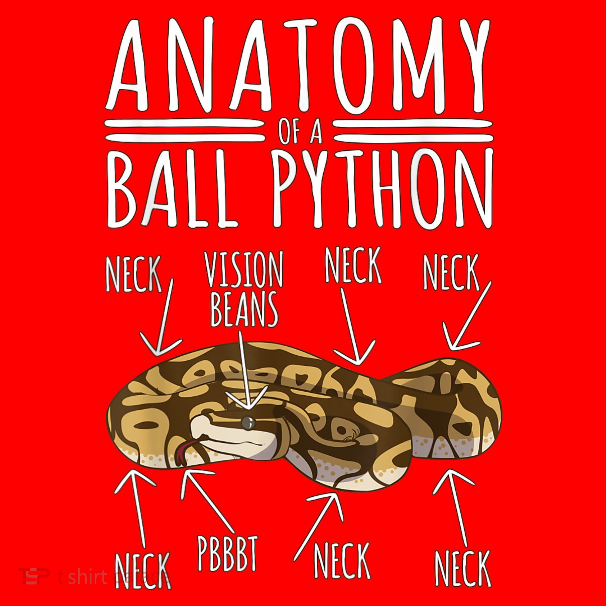 Python Snake Owner Anatomy Of A Ball Python Santa Hat