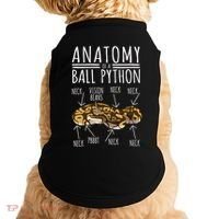 Python Snake Owner Anatomy Of A Ball Python Doggie Tank thumb 0
