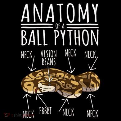 Python Snake Owner Anatomy Of A Ball Python Hoodie