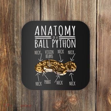 Python Snake Owner Anatomy Of A Ball Python Coaster