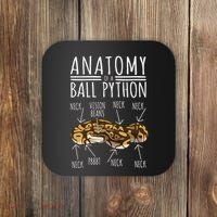 Python Snake Owner Anatomy Of A Ball Python Coaster thumb 0