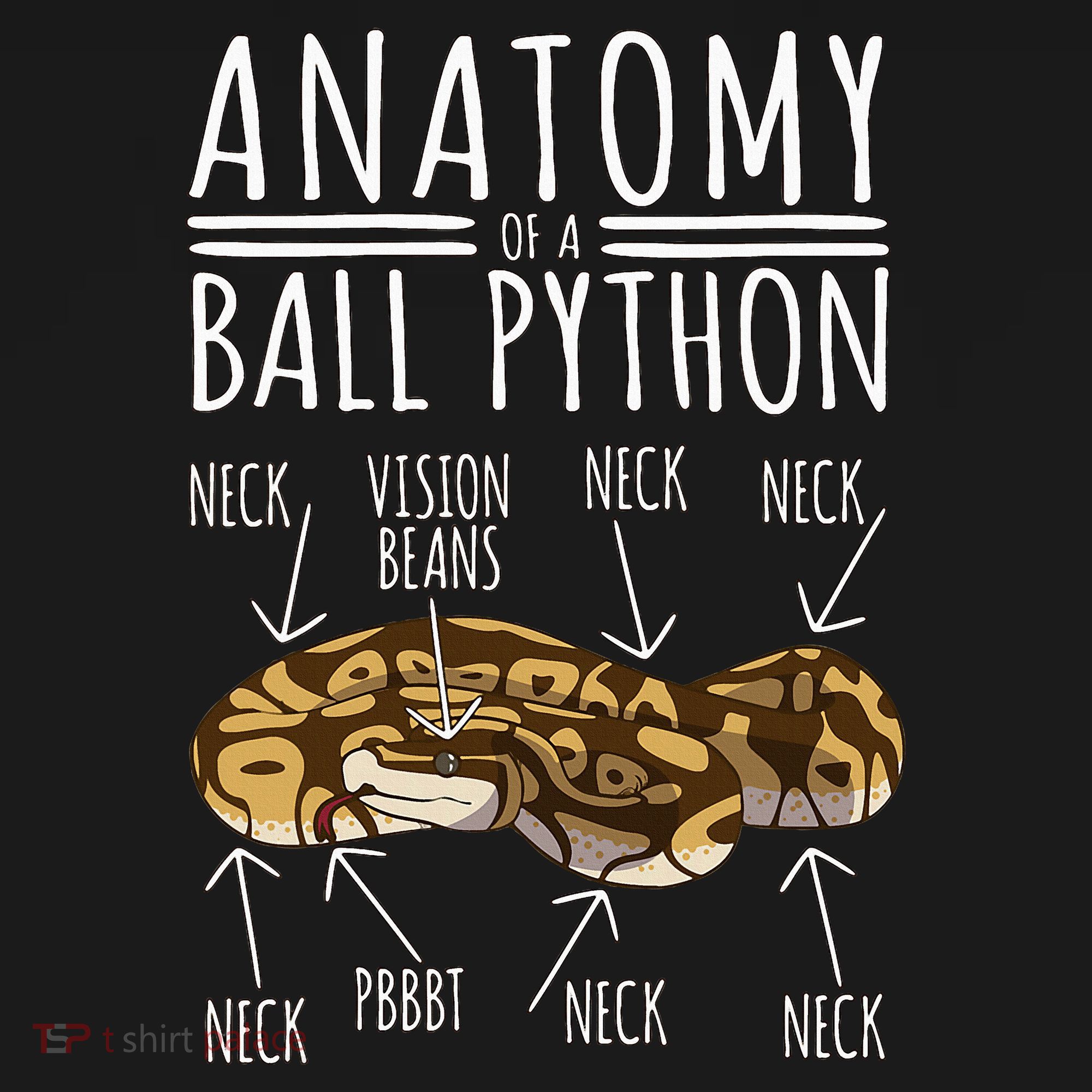 Python Snake Owner Anatomy Of A Ball Python Polo