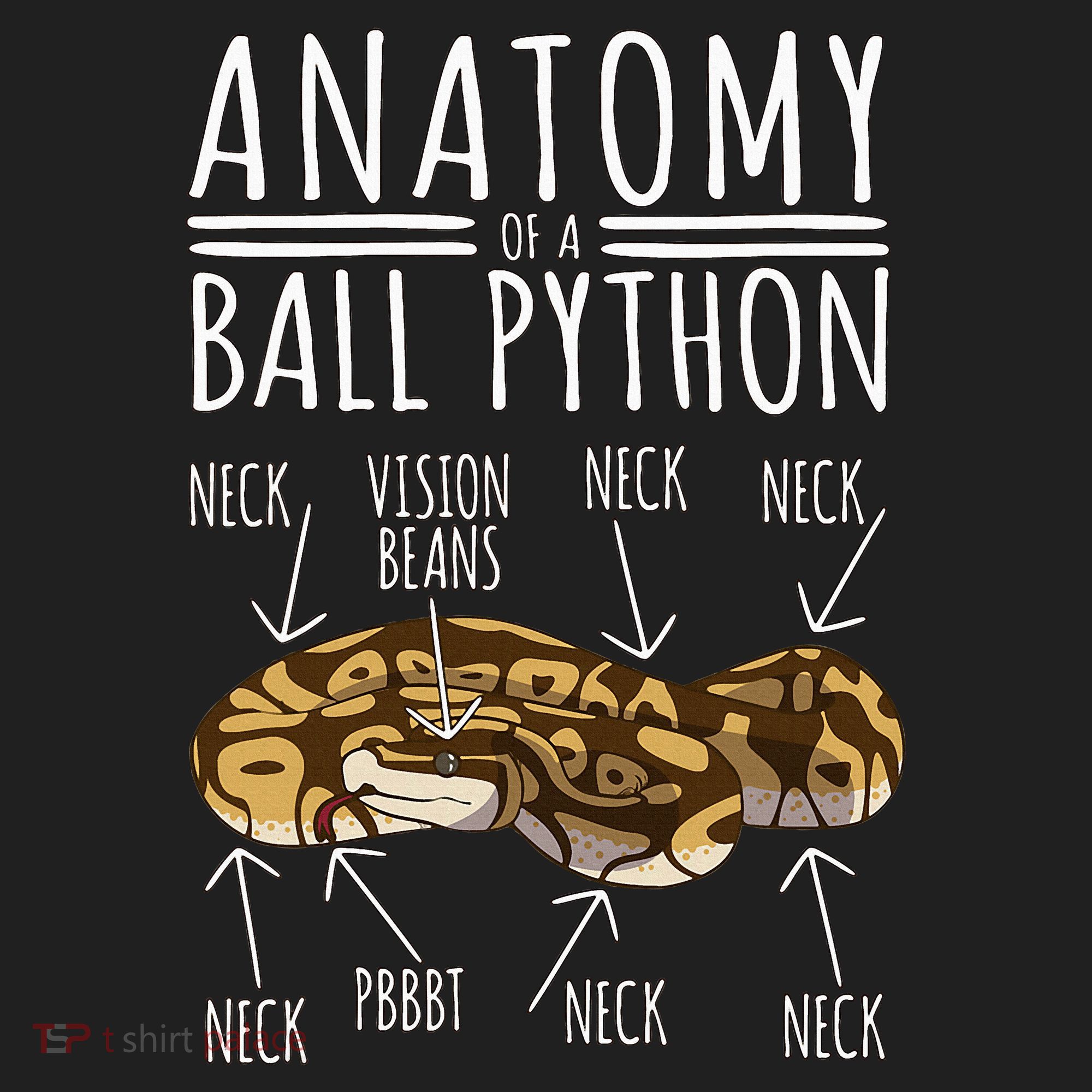 Python Snake Owner Anatomy Of A Ball Python Tumbler