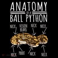 Python Snake Owner Anatomy Of A Ball Python Mousepad thumb 1