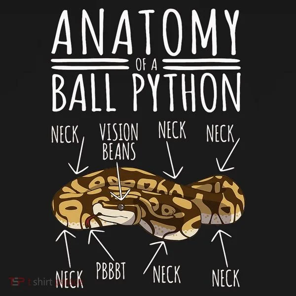 Python Snake Owner Anatomy Of A Ball Python Women's Tank Top