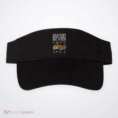 Visor