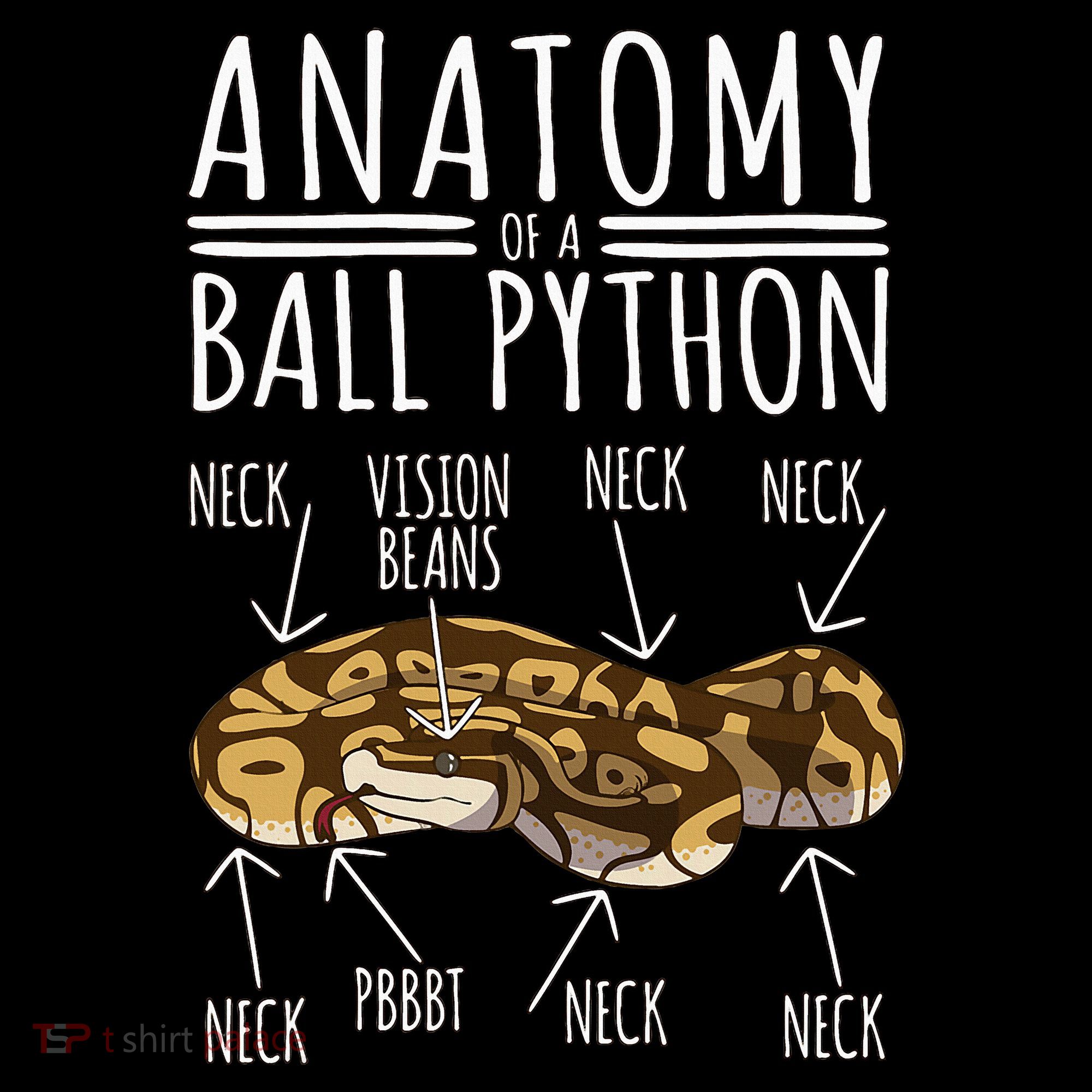 Python Snake Owner Anatomy Of A Ball Python Women's T-Shirt