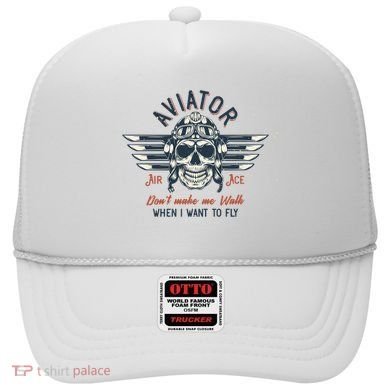 Pilot Skull Hat
