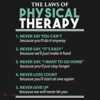 Pt School Physical Therapist The Laws Of Physical Therapy Gift Women's Hoodie thumb 2