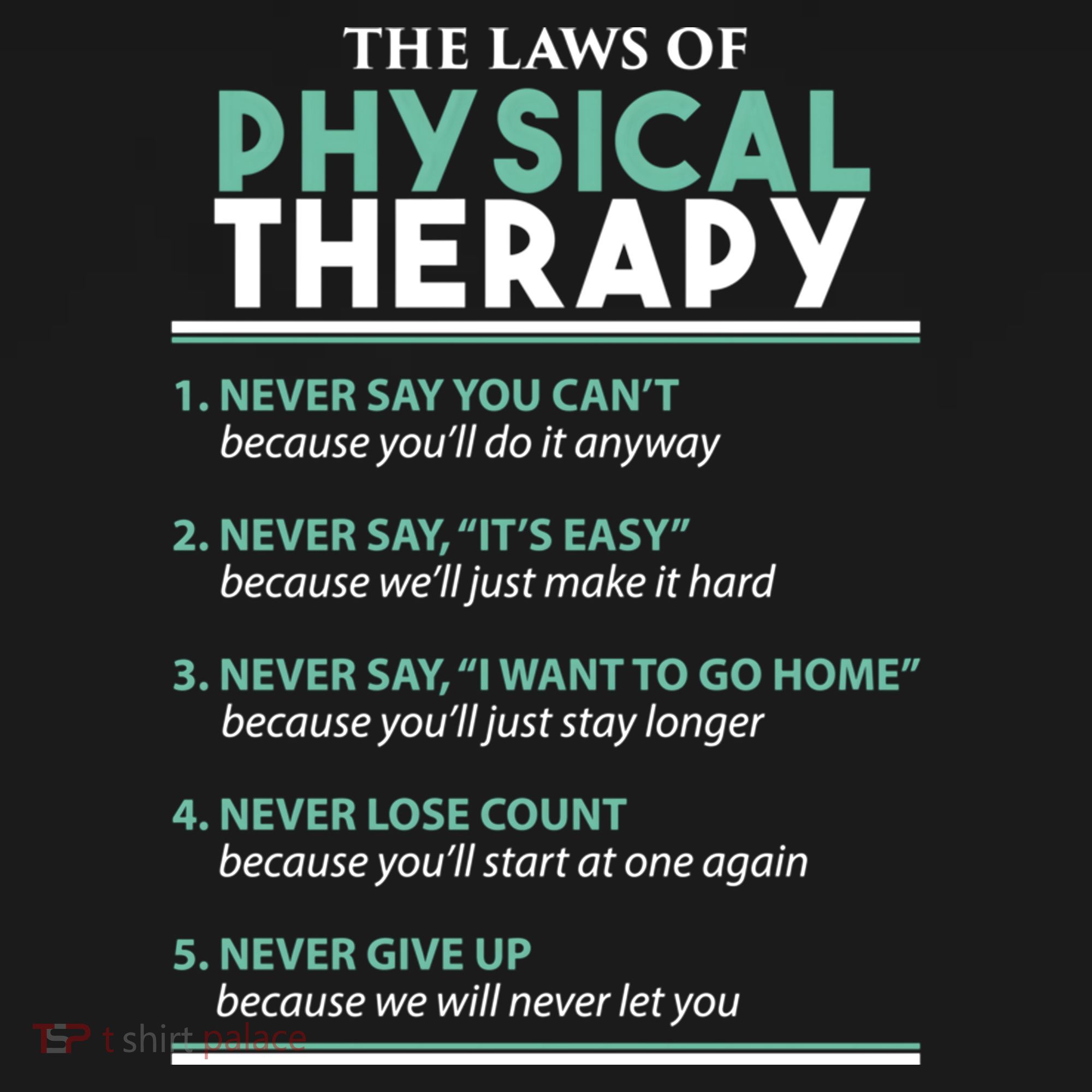 Pt School Physical Therapist The Laws Of Physical Therapy Gift Women's Hoodie