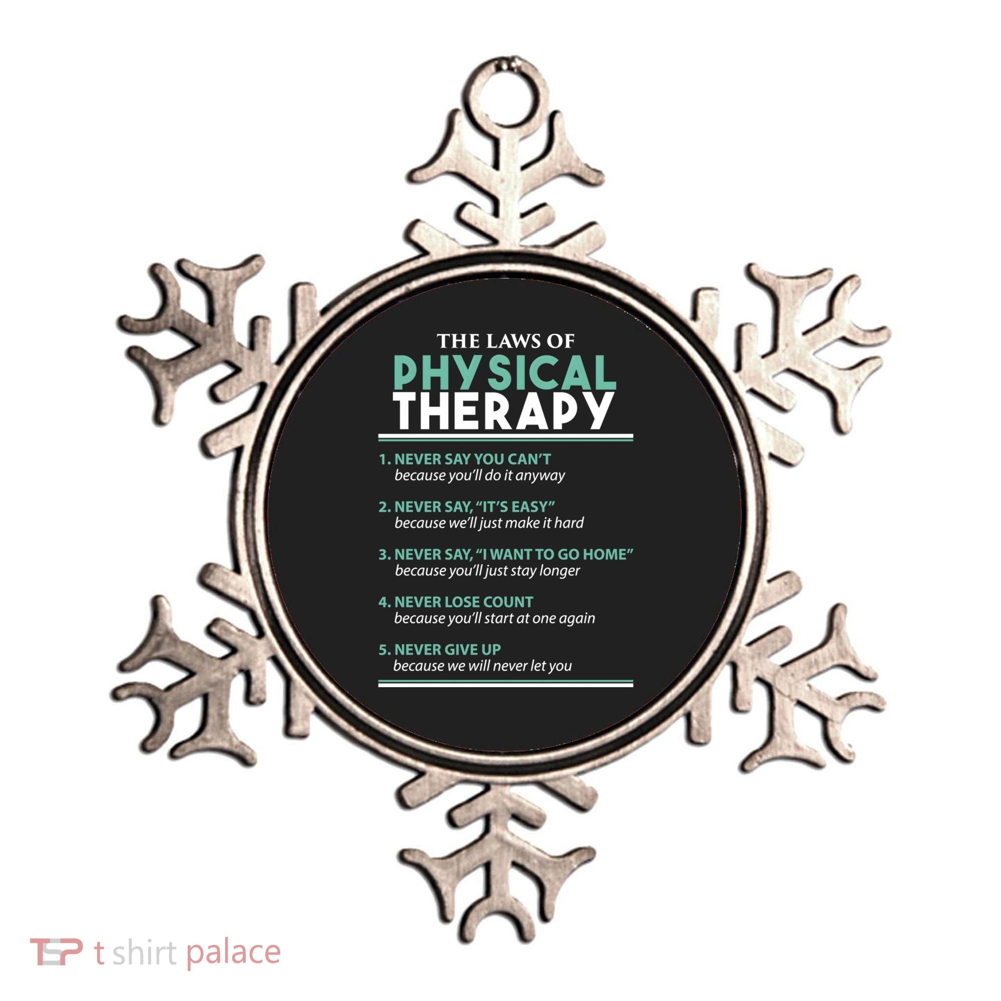 Pt School Physical Therapist The Laws Of Physical Therapy Gift Ornament