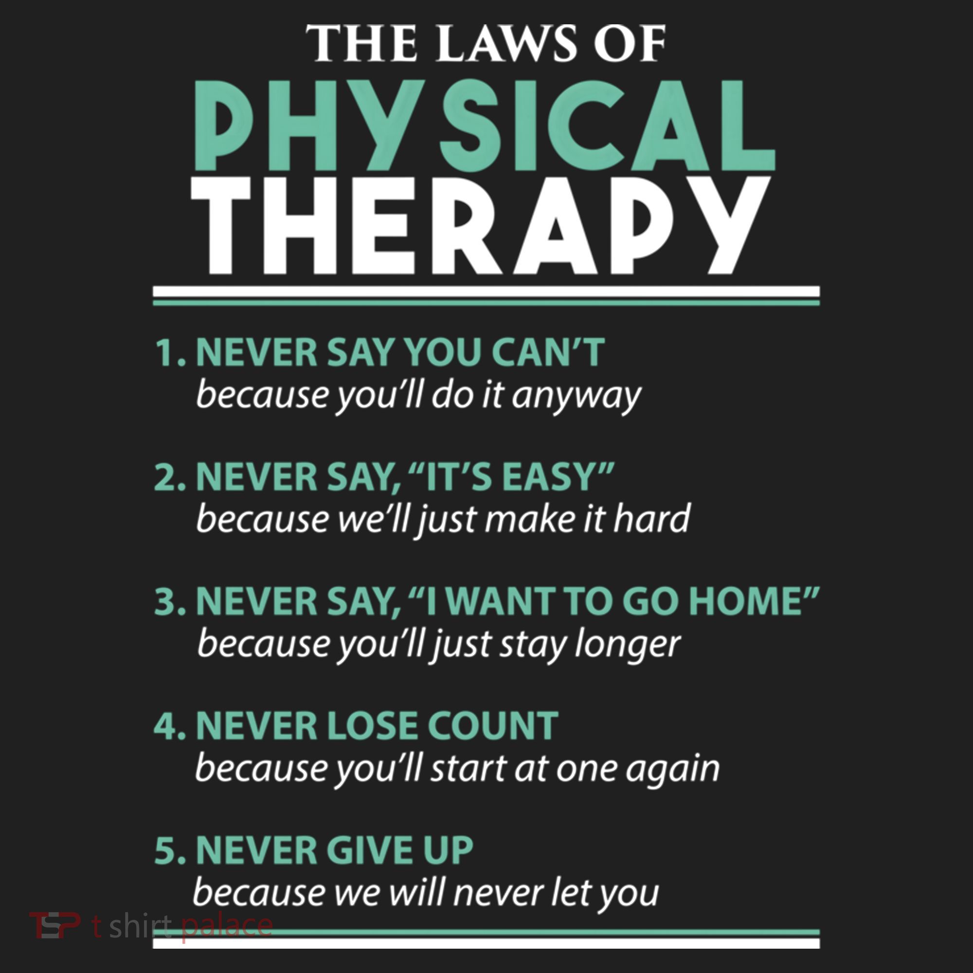 Pt School Physical Therapist The Laws Of Physical Therapy Gift Hat