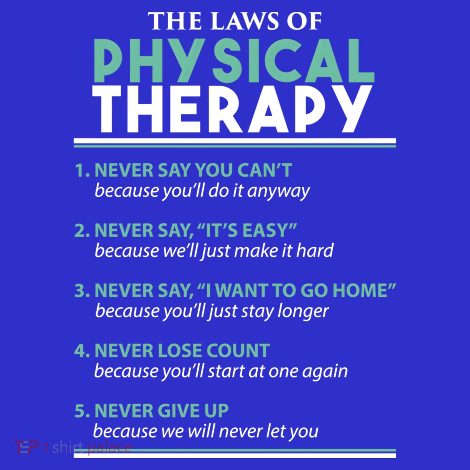 Pt School Physical Therapist The Laws Of Physical Therapy Gift Mousepad
