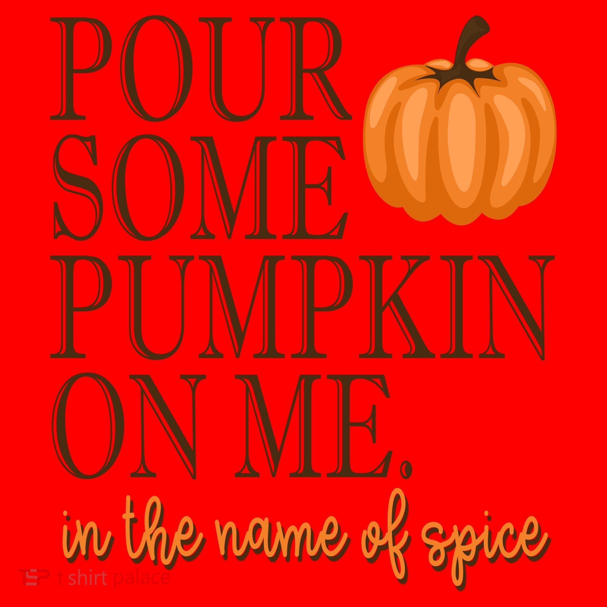 Pour Some Pumpkin On Me In The Name Of Spice Funny Fall Santa Hat