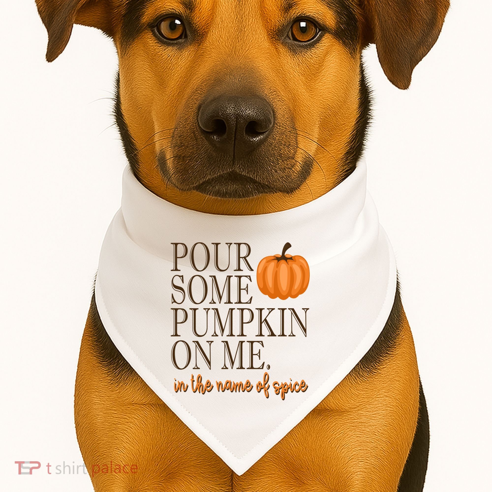 Pour Some Pumpkin On Me In The Name Of Spice Funny Fall USA-Made Doggie Bandana