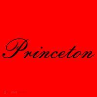 Princeton Script Santa Hat thumb 1