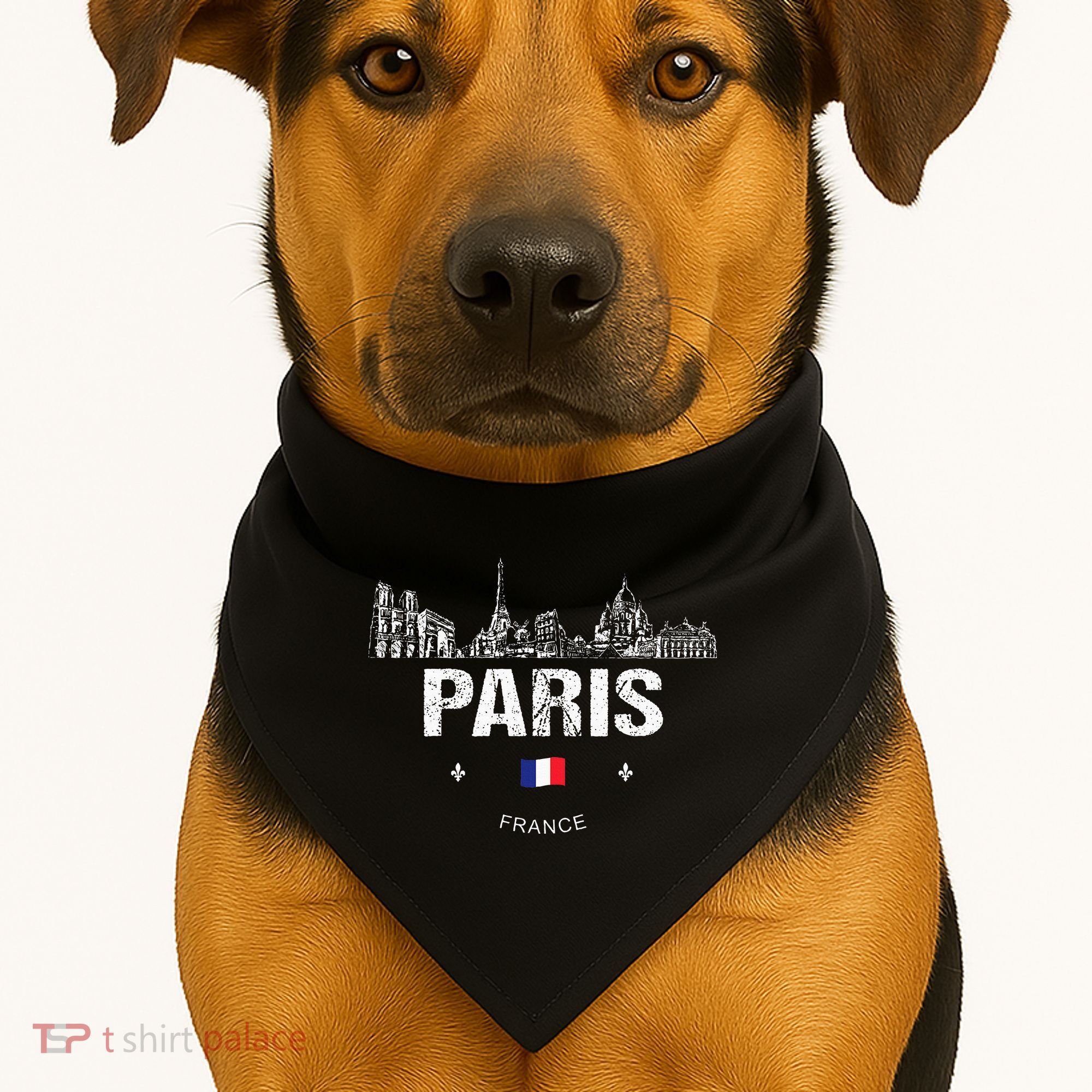 Paris Souvenir Travel USA-Made Doggie Bandana