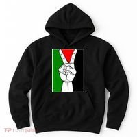 Palestine Support Victory Symbol Free Palestine Palestinian Hoodie thumb 0