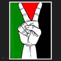 Palestine Support Victory Symbol Free Palestine Palestinian Hat thumb 2