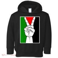 Palestine Support Victory Symbol Free Palestine Palestinian Toddler Hoodie thumb 0