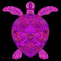 Psychedelic Turtle Bucket Hat thumb 4