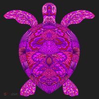 Psychedelic Turtle 24oz Duet Stainless Steel Tumbler thumb 2