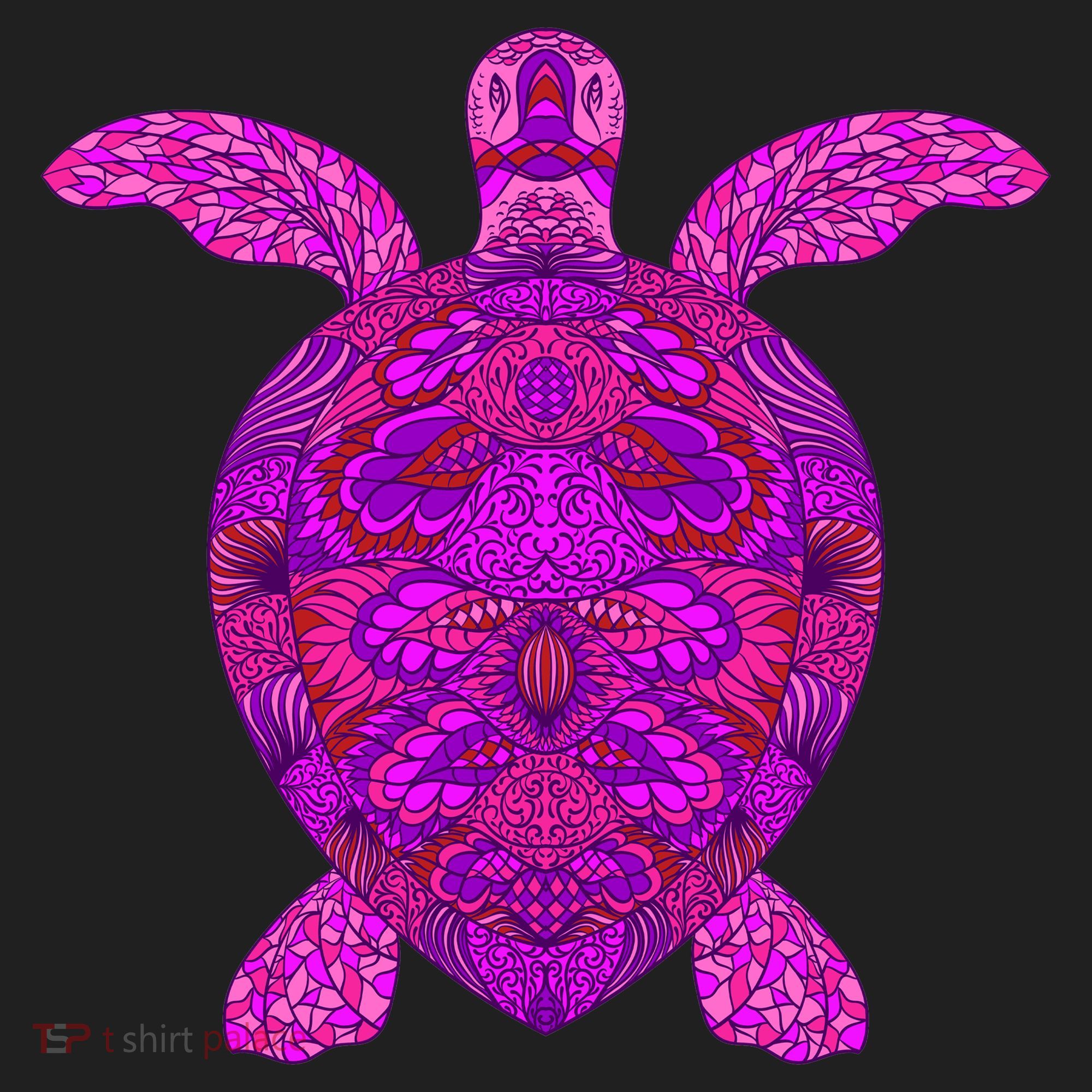 Psychedelic Turtle Hat