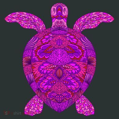 Psychedelic Turtle Sweatshirt