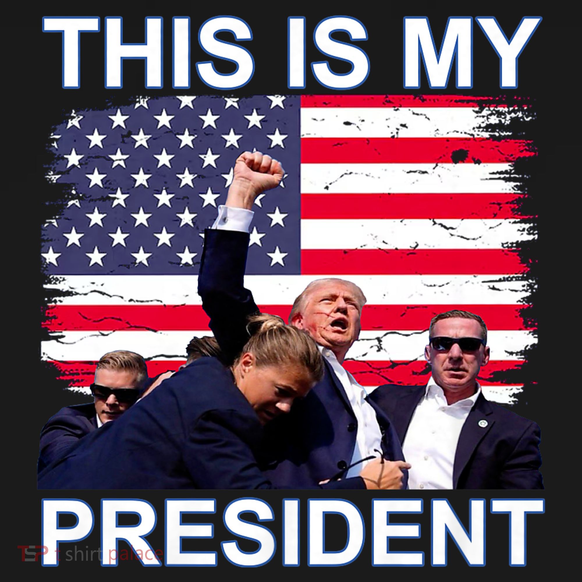 President Trump 2024 This Is My President Apron
