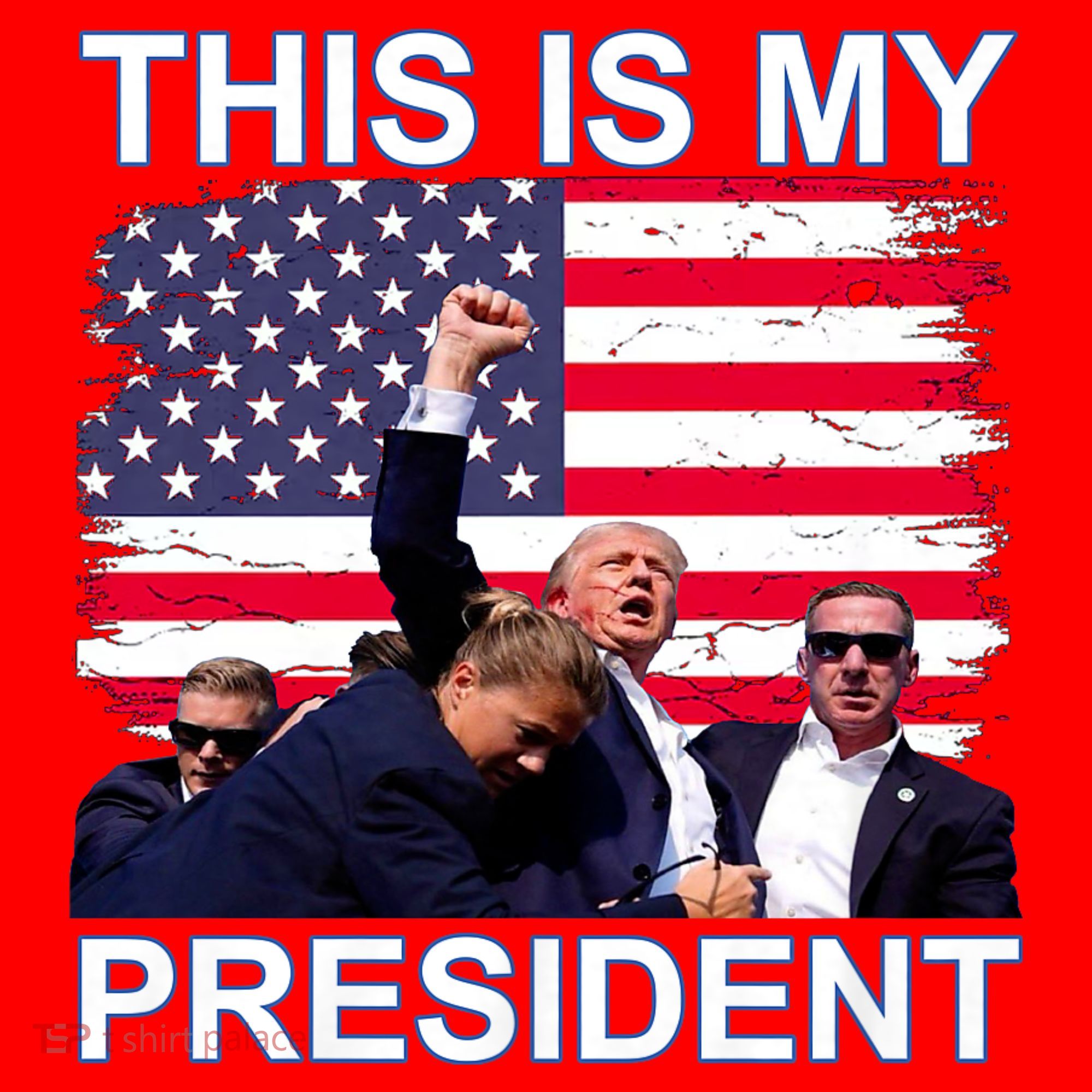 President Trump 2024 This Is My President Santa Hat