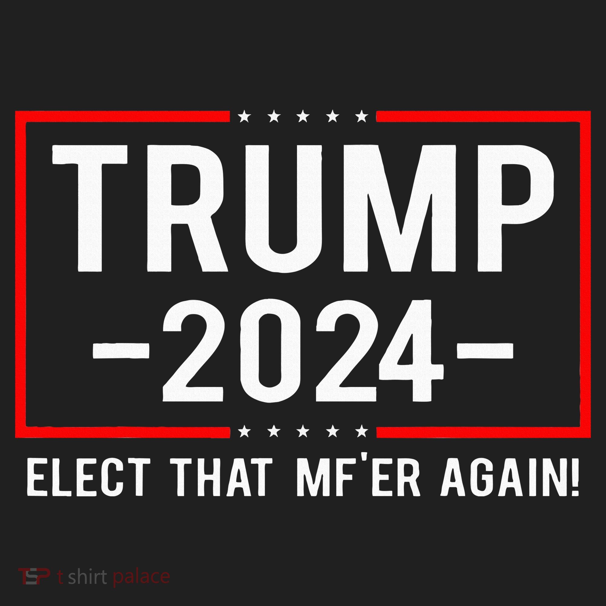Political Trump 2024 Elect That MfEr Again Hat