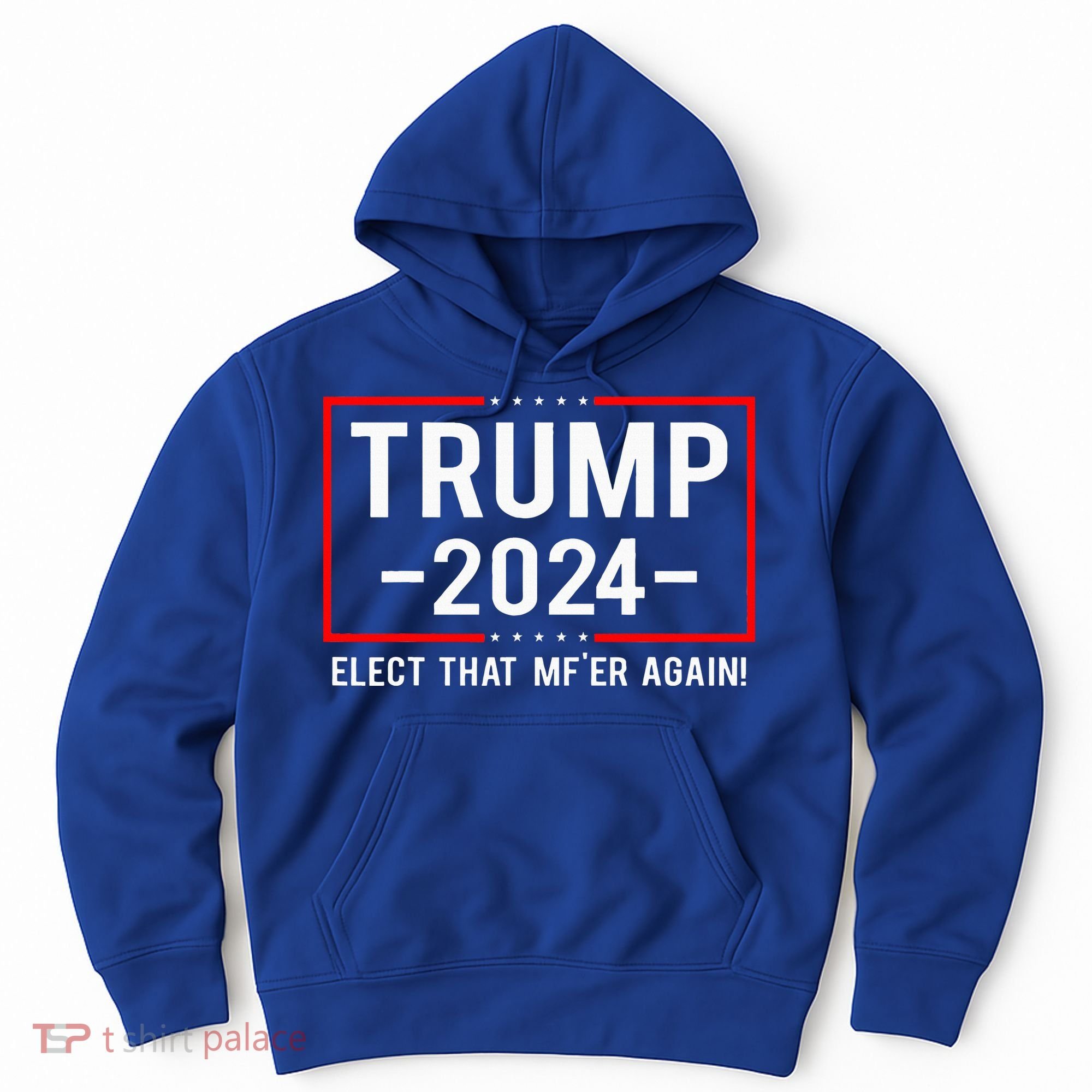 Political Trump 2024 Elect That MfEr Again Hoodie