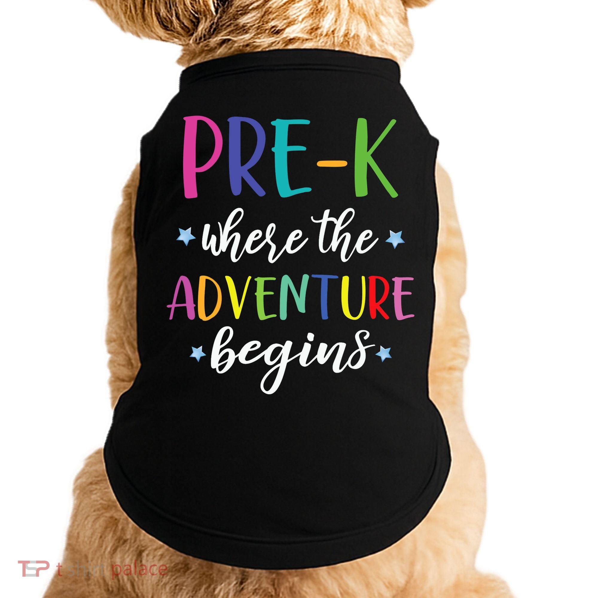 Pre-K Teacher Adventure Begins First Day Preschool Teachers Doggie Tank