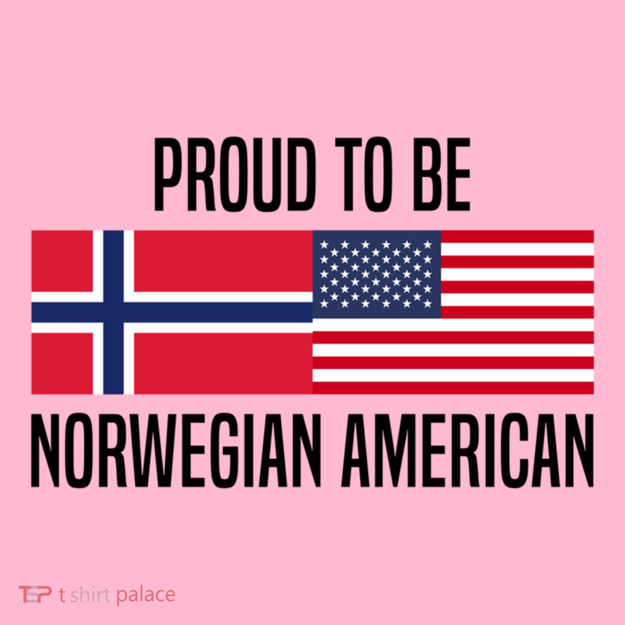 Proud To Be Norwegian American Cool Gift Coaster