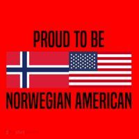Proud To Be Norwegian American Cool Gift Santa Hat thumb 1