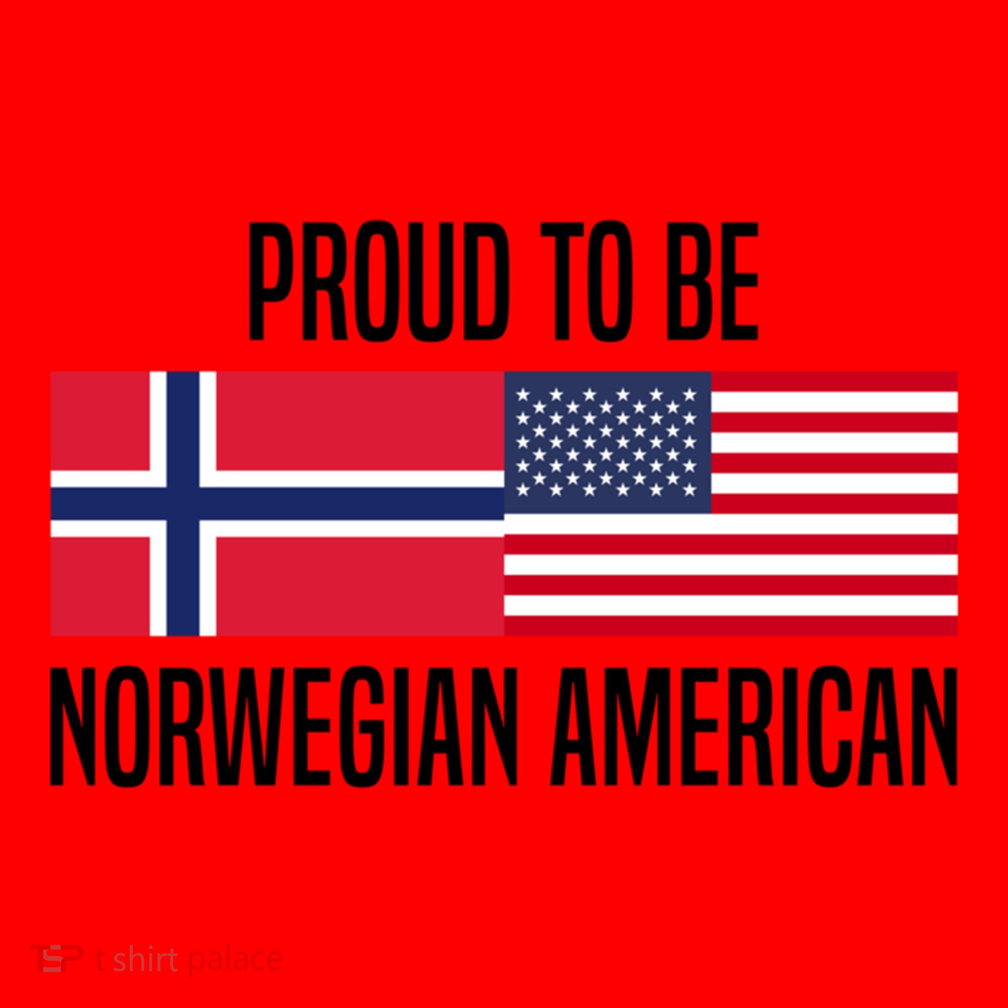 Proud To Be Norwegian American Cool Gift Santa Hat
