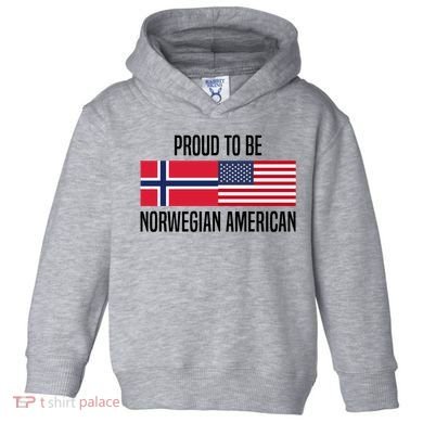 Proud To Be Norwegian American Cool Gift Toddler Hoodie
