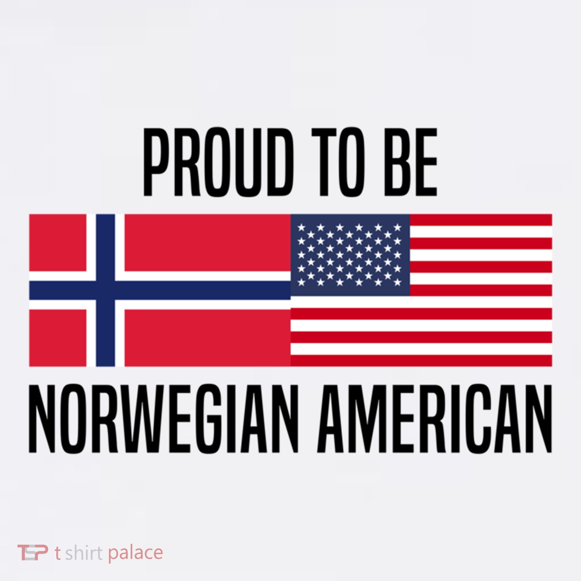 Proud To Be Norwegian American Cool Gift Sweatshirt
