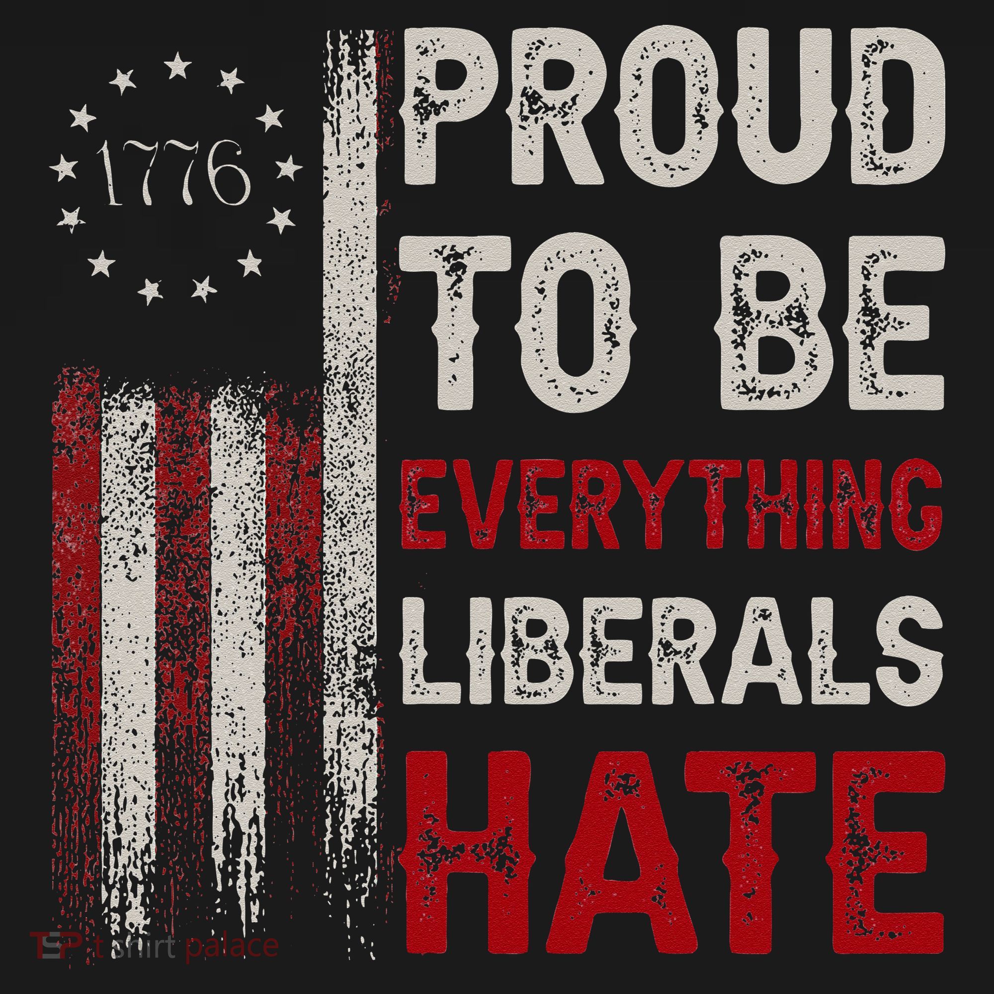 Proud To Be Everything Liberals Hate 1776 Flag T-Shirt