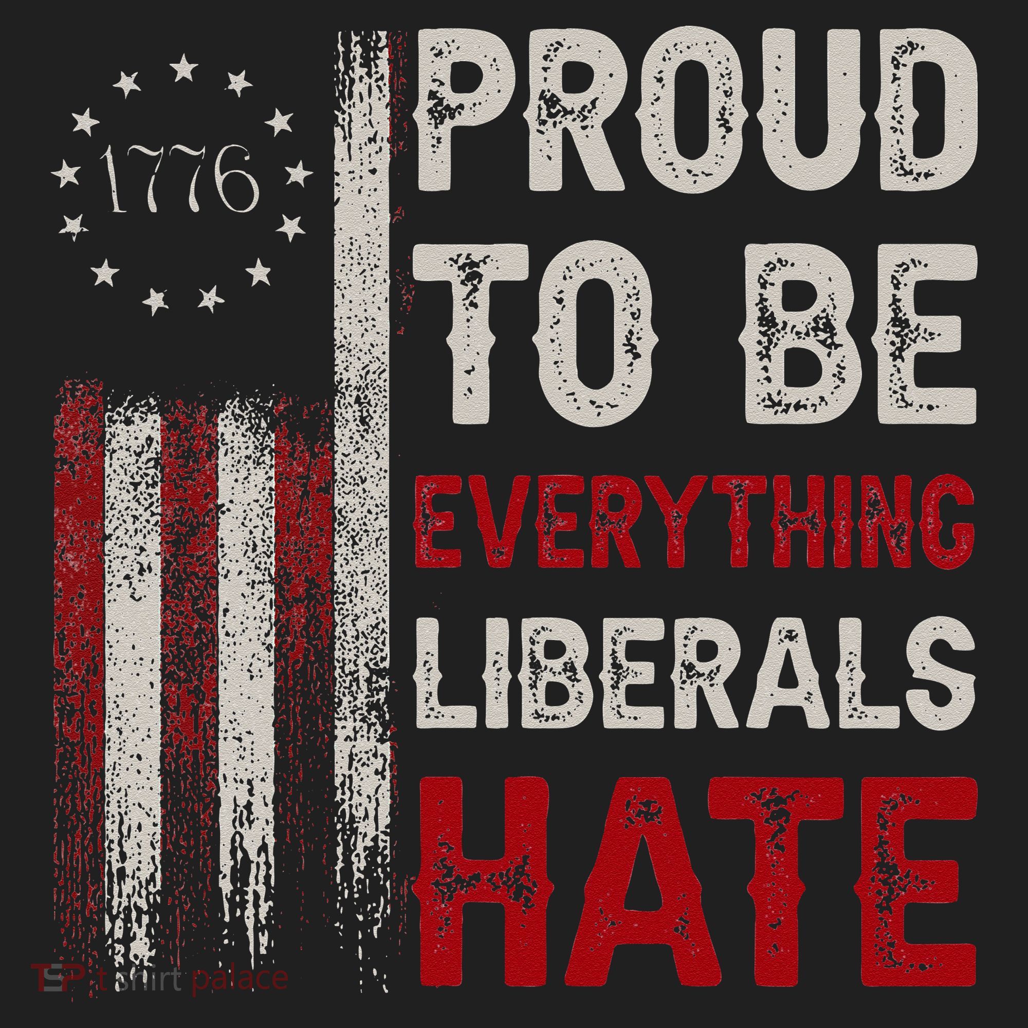 Proud To Be Everything Liberals Hate 1776 Flag Beanie