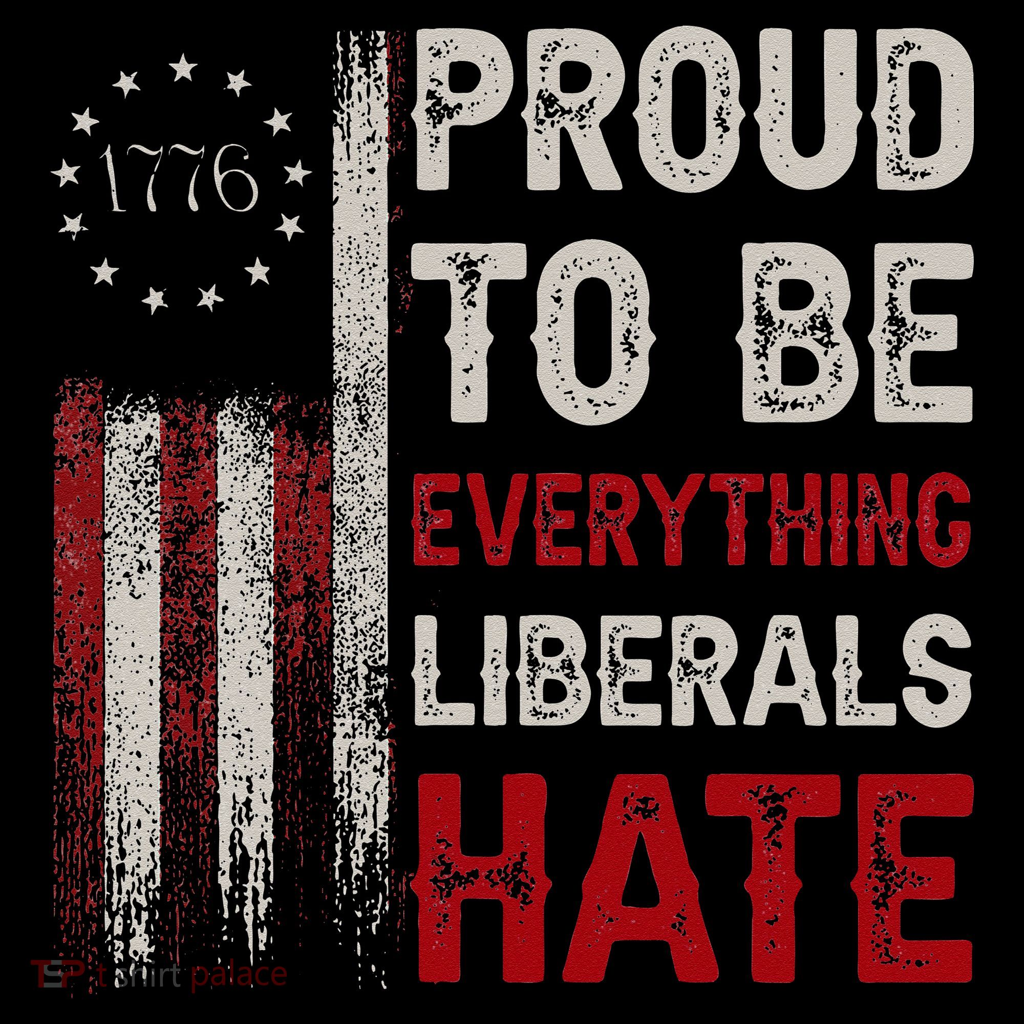 Proud To Be Everything Liberals Hate 1776 Flag Toddler Hoodie