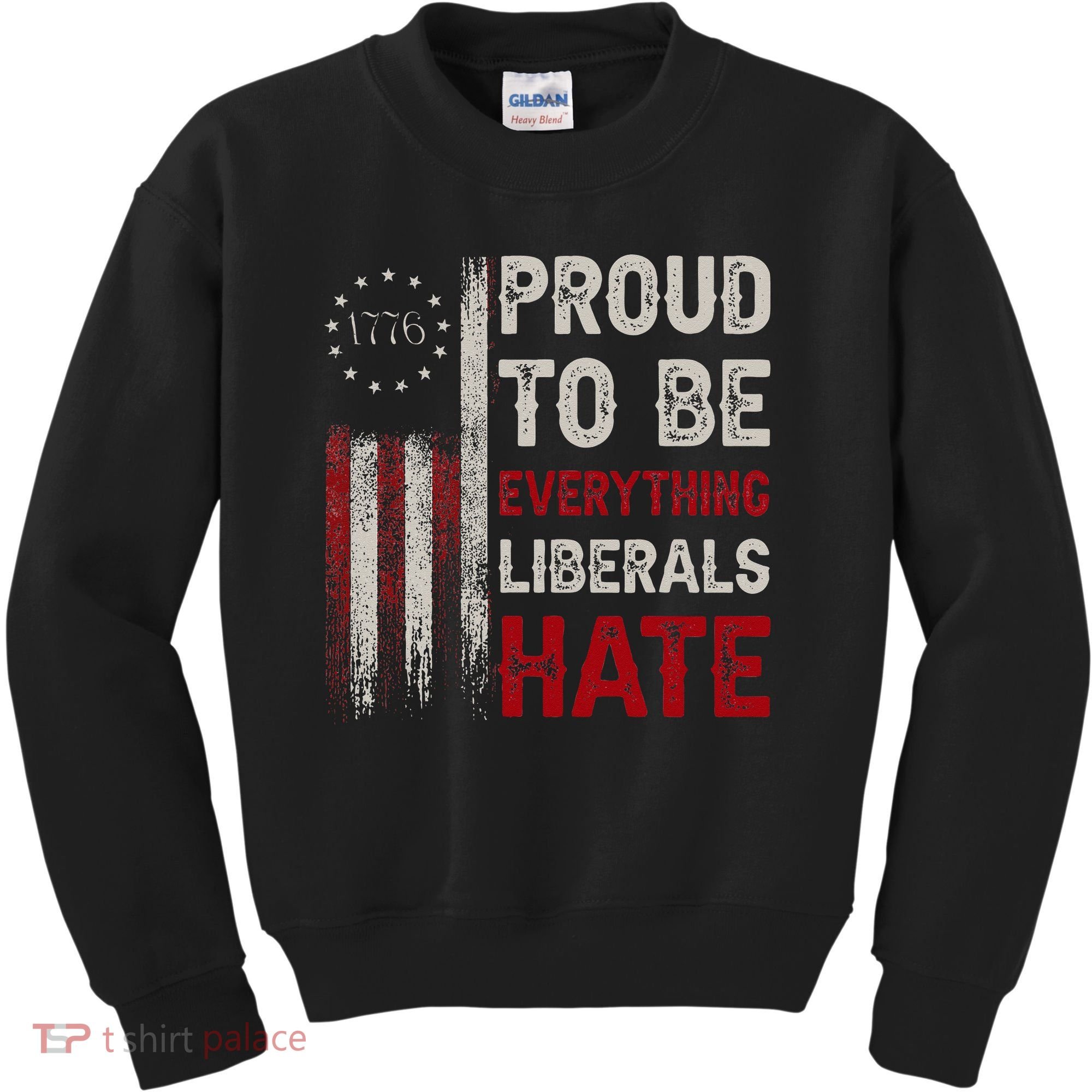 Proud To Be Everything Liberals Hate 1776 Flag Kids Sweatshirt