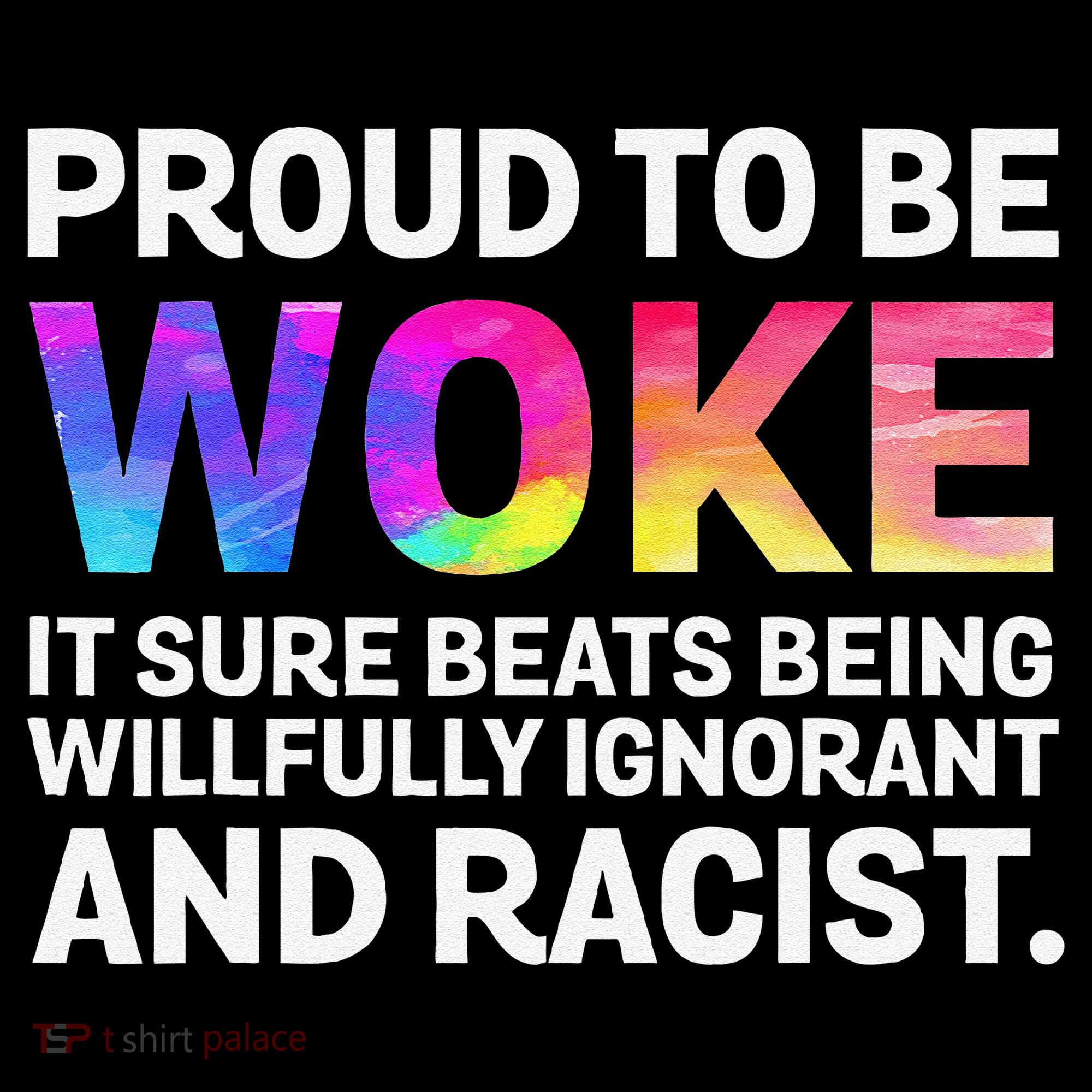 Proud To Be Woke It Sure Beats Being Willfully Ignorant Women's Hoodie