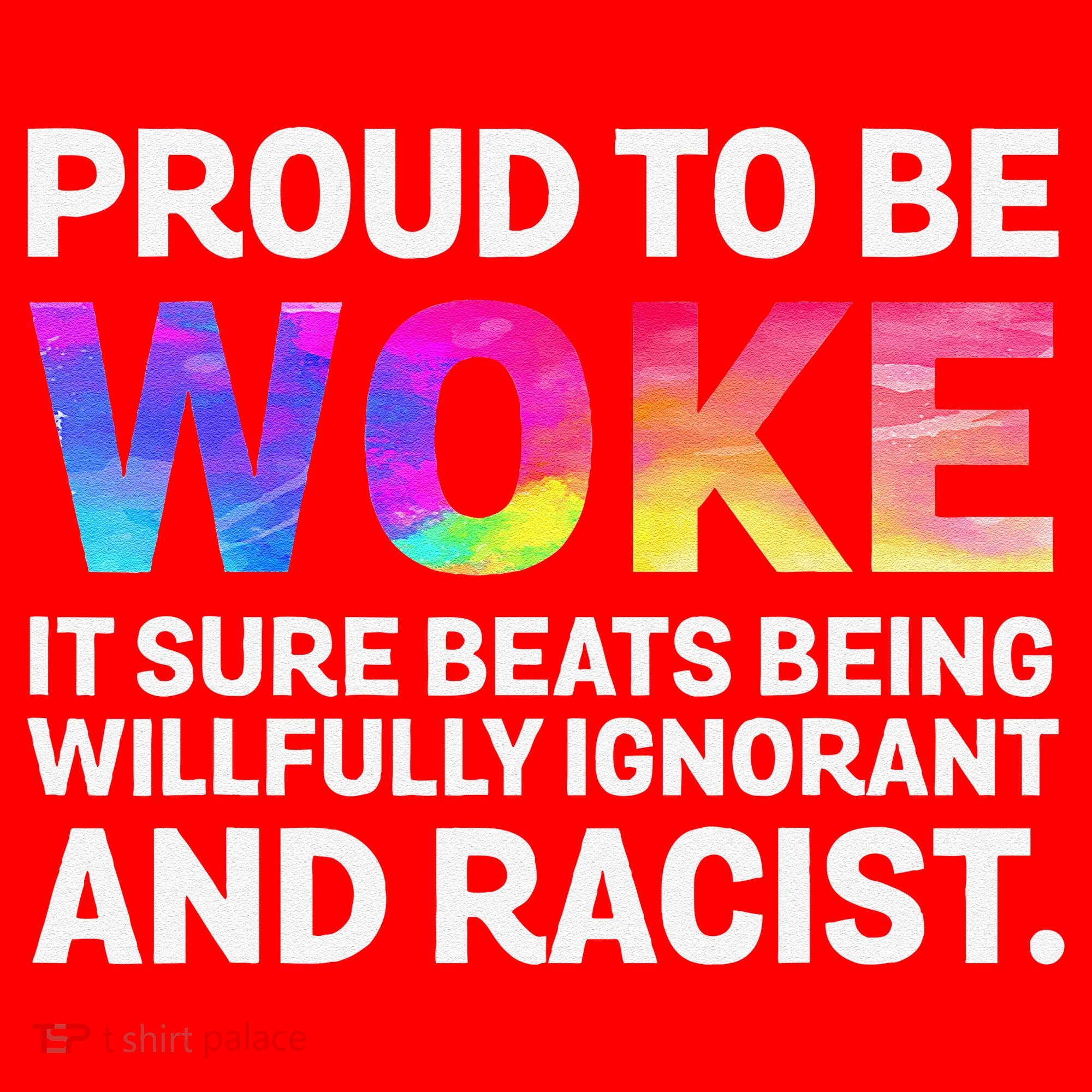 Proud To Be Woke It Sure Beats Being Willfully Ignorant Santa Hat