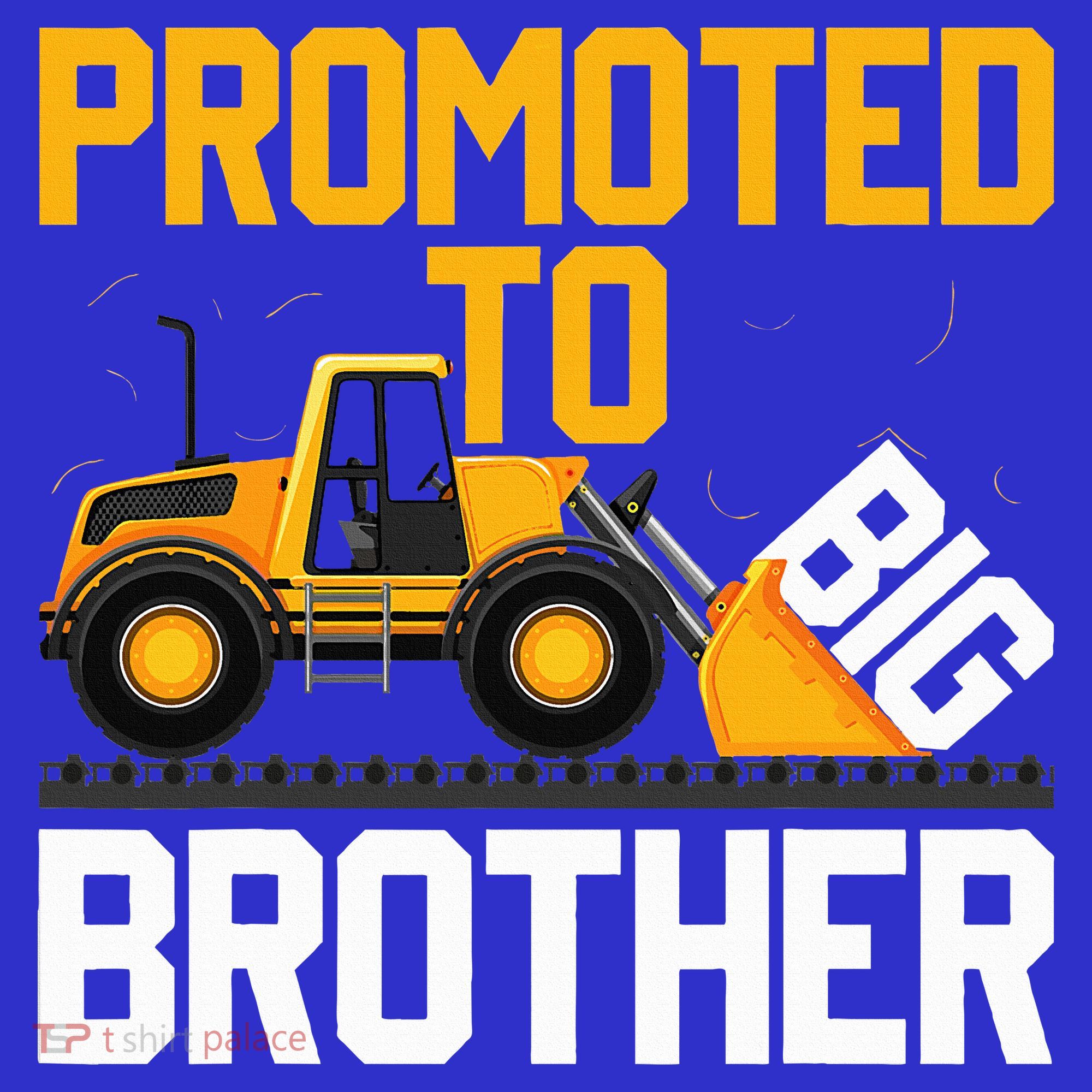 Promoted To Big Brother  I Leveled up to Big Brother T-Shirt