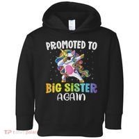 Promoted To Big Sister Again Sister Unicorn Toddler Hoodie thumb 0