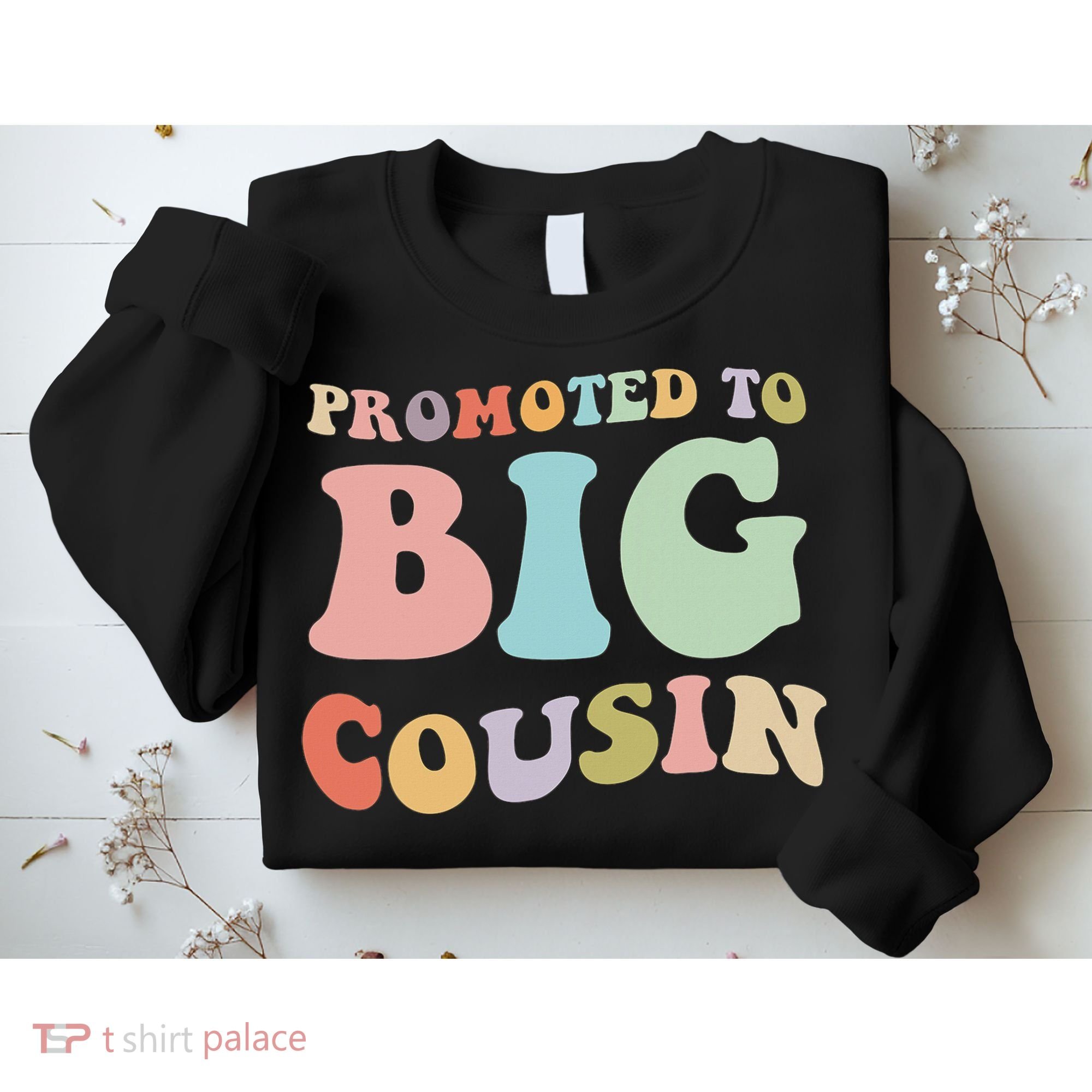 Promoted To Big Cousin Family Matching  Sweatshirt