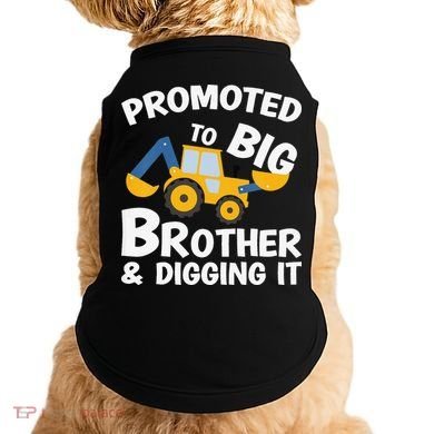 Promoted to Big Brother and Digging It Construction Brother Doggie Tank